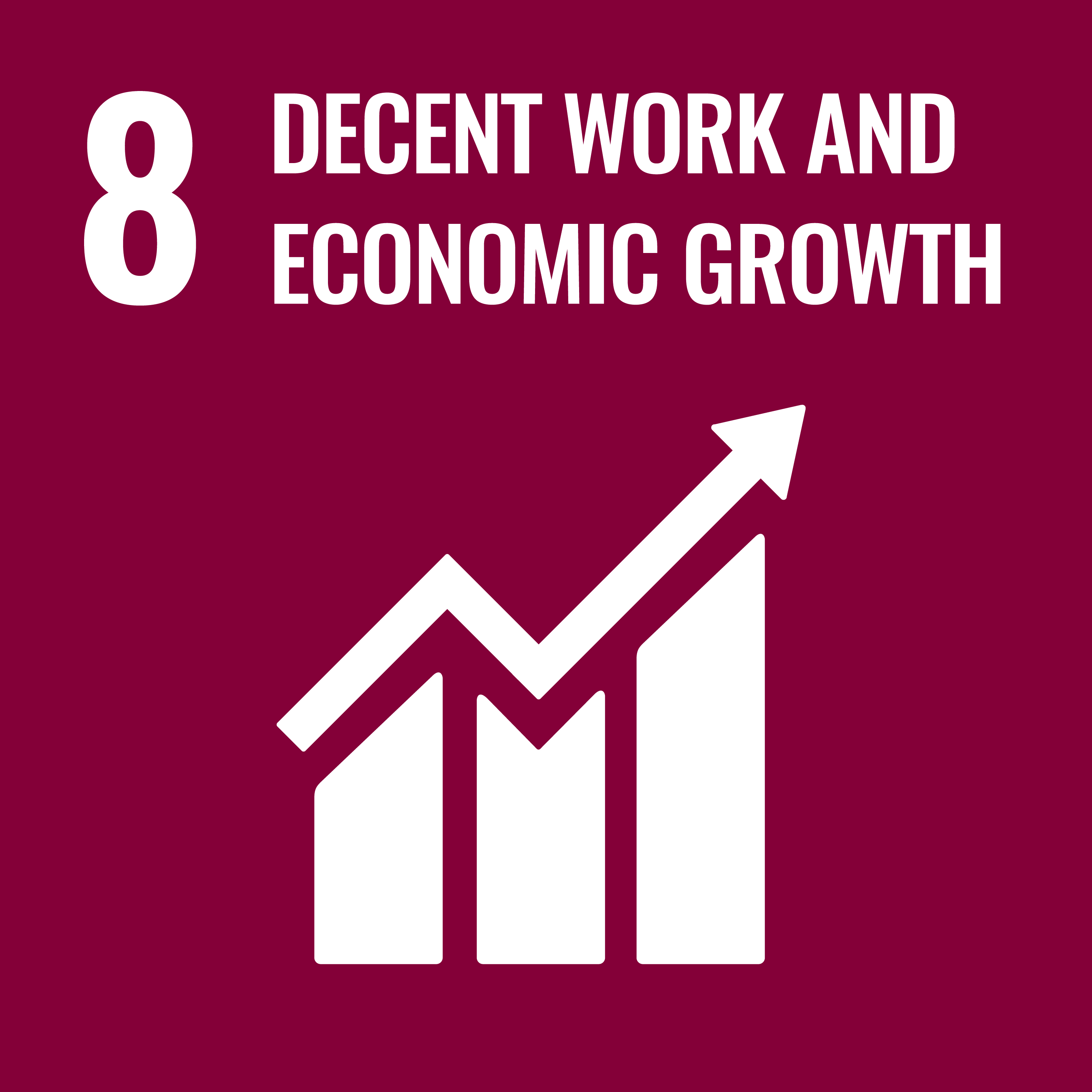Sustainable Development Goal 8