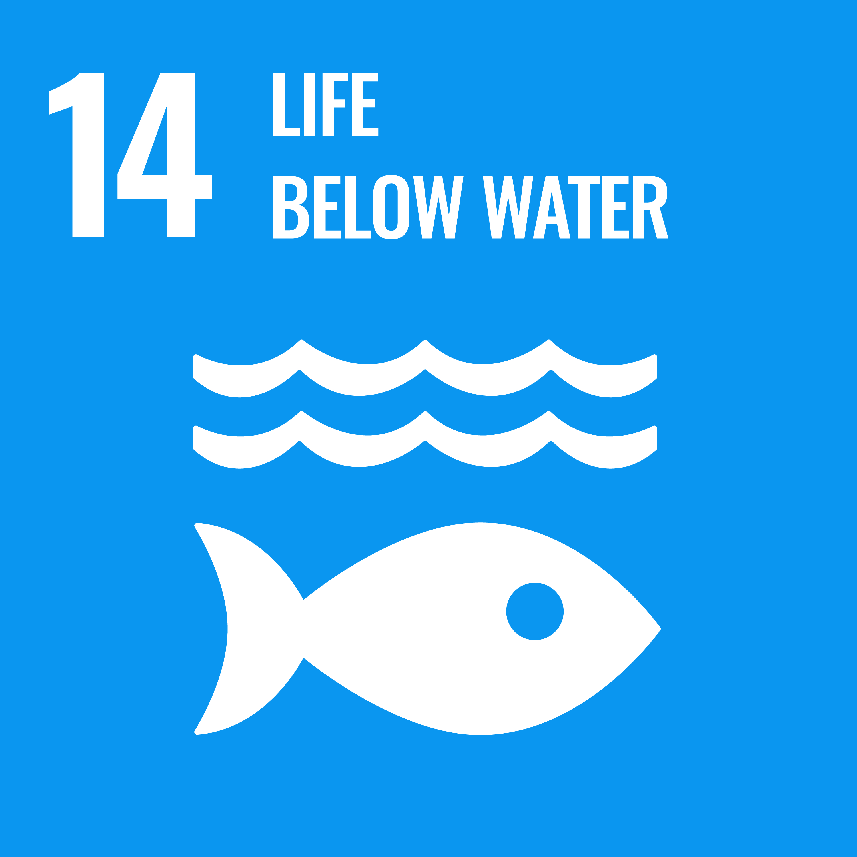 Sustainable Development Goal 14